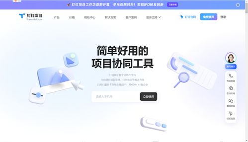 Redmine项目管理系统对比主流工具 教学软件技术开发的实践与思考